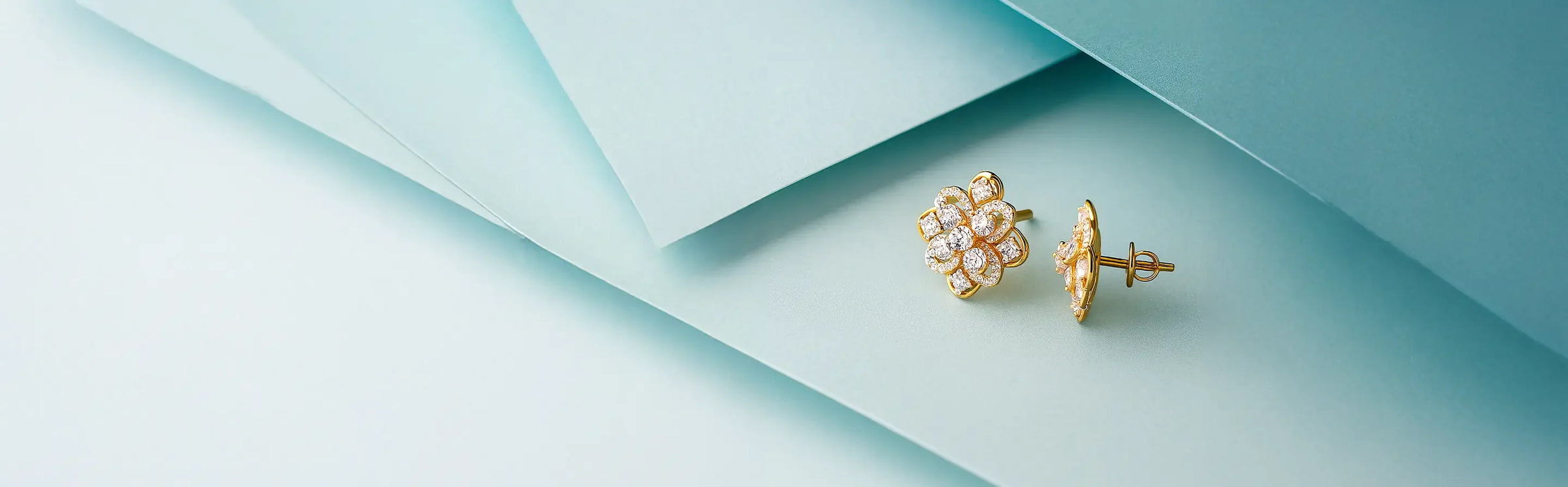 Women / Earrings / Tops